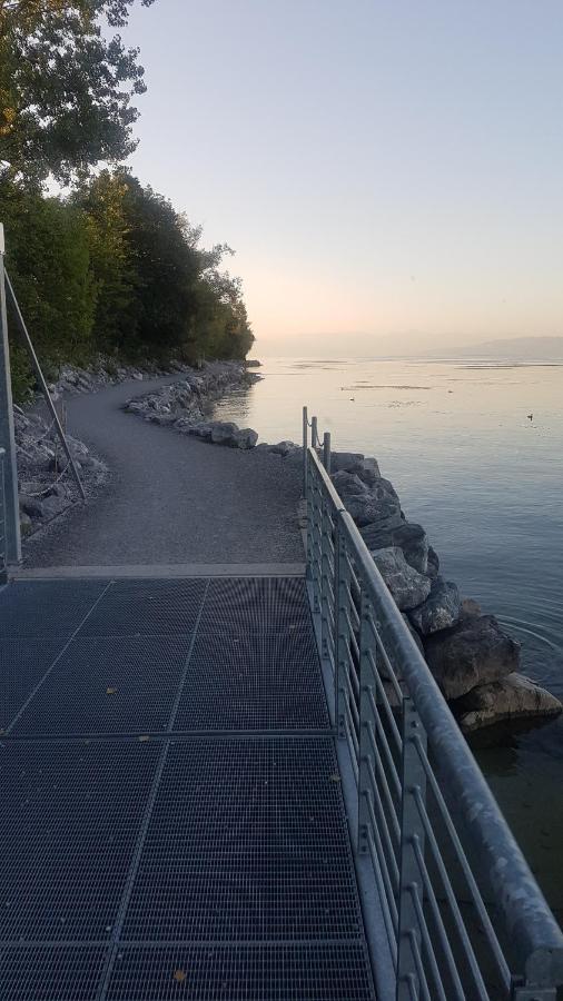 Ferienwohnung Fischbach FDH Εξωτερικό φωτογραφία