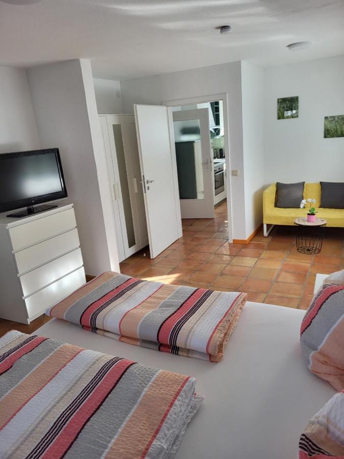 Ferienwohnung Fischbach FDH Εξωτερικό φωτογραφία