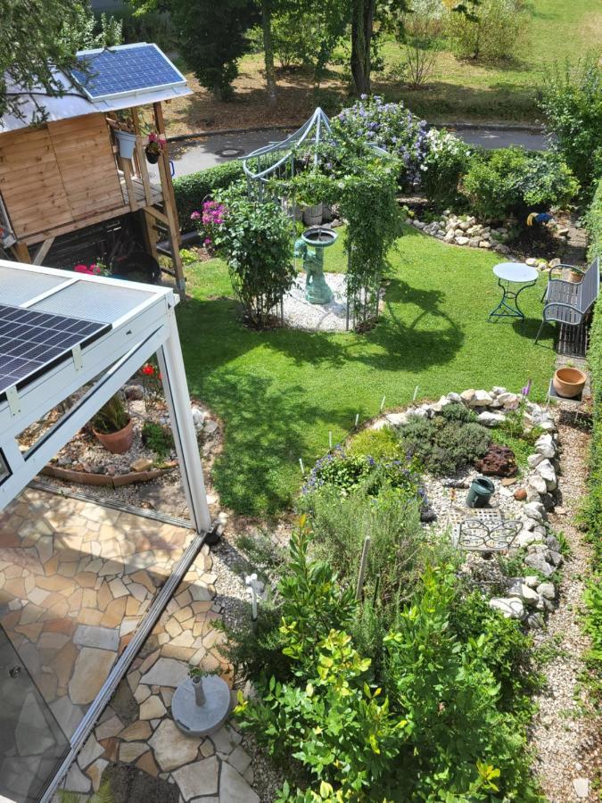 Ferienwohnung Fischbach FDH Εξωτερικό φωτογραφία